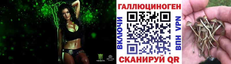 Псилоцибиновые грибы MAGIC MUSHROOMS  гидра сайт  Мичуринск 